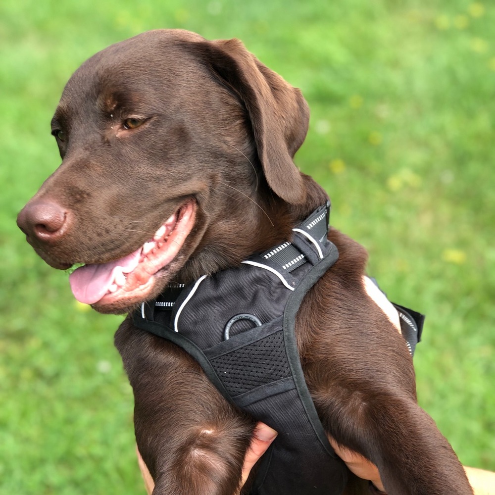 Meet your Posher, Thalia